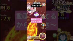 白猫プロジェクト#1(おもしろ周回)