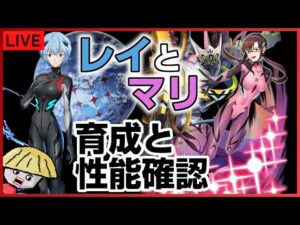 白猫【ライブ配信】レイとマリを育成して性能も確認するやつ【ガチャ自慢も可】