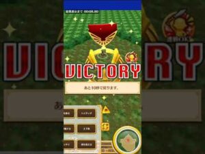 【白猫】真希波マリ キングクイーン Lv20000 ソロ