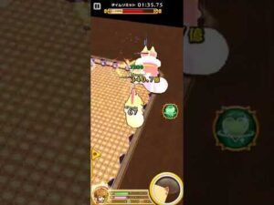 【白猫】魔弱点キング星たぬき アスカ ソロ