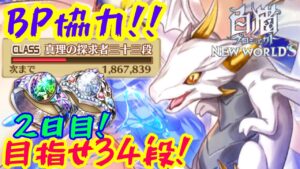 【白猫】BP協力！目指せ34段〈2日目〉