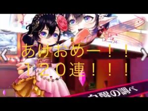 白猫プロジェクトお正月ガチャ120連ブン回した結果⁉️