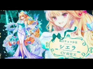 【白猫】バレンタインシエラ 火力計測