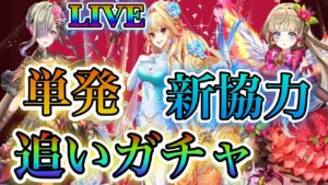 【白猫プロジェクト】バレンタイン追いガチャ、新協力などやっていきます！！（概要欄見てください）