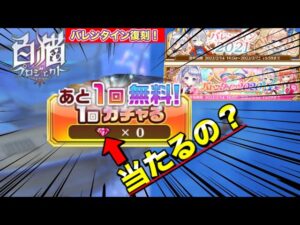 【白猫／ガチャ】バレンタイン無料単発...これって当たるの？