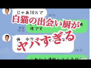 【白猫プロジェクト】白猫の出会い厨がヤバすぎる