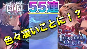 【白猫／ガチャ】2人入れ替えの"闇"ガチャなのに色々ヤバ過ぎたw(Fragment Origin)