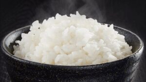 【白飯 (白猫) 】白飯プロジェクト 協力 ソロ全収穫