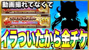 【白猫ガチャ】またまた来たぜ金チケが！！！【白猫プロジェクト】