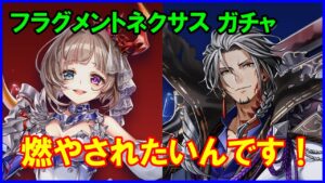 【白猫】フラグメントネクサス キャラガチャ！ エクセリアかわいいよぉぉぉ！目に見えた罠は神引きで回避すればいいんだろ！運営よ！これが俺の力じゃああああ！