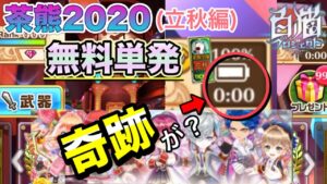 【白猫／ガチャ】茶熊2020(立秋編)無料単発最終日(深夜0時)で奇跡が！？　まあ流石に当たらんやろ...