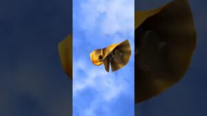 白猫プロジェクト  8周年抽選ガチャ