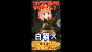 【白猫プロジェクト】【SPY×FAMILY】コラボガチャ！コンプするまでやめません！【ガチャコンプ】