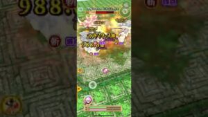 【白猫】キングムカデ (斬突魔弱点) Lv.20000  新たなる闇の王 24.48