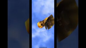 白猫プロジェクトSPY×FAMILYコラボ無料ガチャ #short #shorts #白猫プロジェクト #しろねこ #スパイファミリー #ロイド #ヨル #アーニャ