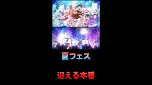 【白猫プロジェクト】Summer Tension!　夏フェス　迎える本番