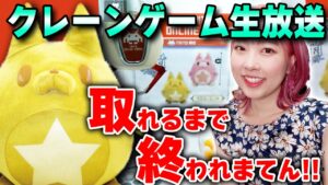 【またも神回】白猫クレーンゲームで星たぬき全種類取れるまでおわれまてん！！！！【タイトーオンラインクレーン】