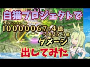 【白猫プロジェクト】10000000億ダメージ！