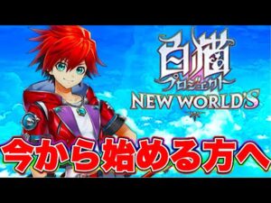 【白猫プロジェクト】今から始める人は〇〇をしてから冒険をしましょう！【白猫】