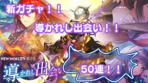 【白猫プロジェクト】導かれし出会いを回してみた結果…【ガチャ動画】