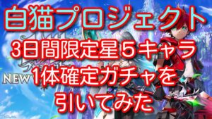 白猫プロジェクト　3日間限定星５キャラ1体確定ガチャを引いてみた　#白猫プロジェクト #白猫 #ガチャ