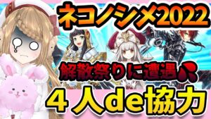 【白猫】ネコノシメ好きなキャラで参加して✨協力やりま～～～す【白猫プロジェクト NEW WORLD'S】ゲーム実況