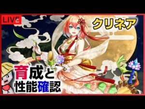 白猫【ライブ配信】X'masリネアの育成と性能を確認するライブ配信【リライトクリスマス】