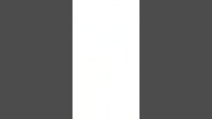 【白猫】最終日無料単発でまさかの奇跡が…。さぁどっちが来てくれたかな？【チェンソーマンコラボガチャ】 #shorts