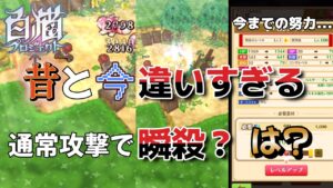 【白猫プロジェクト】久しぶりに白猫プロジェクトをやったら今と昔が違いすぎた...【アプリ雑談レビュー】