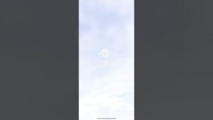 白猫正月22ガチャ03