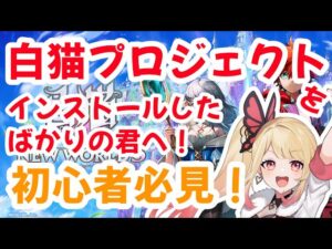 【白猫プロジェクト】何をしたらいいの！？って人は見て！！初心者動画🔰