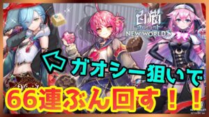 【白猫プロジェクト】2023バレンタインガチャ！ガオシー狙いで漢気66連！！【ガチャ】