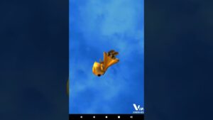 【白猫プロジェクト】鬼滅の刃コラボ第2弾単発無料ガチャ