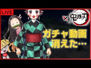 白猫【ライブ配信】ガチャ動画消えたけど…鬼滅コラボキャラの性能確認ライブ（育成から）【鬼滅の刃コラボ2】