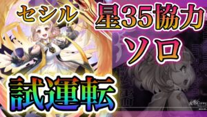 【白猫プロジェクト】セシル！星35協力試運転ソロ！SSSスコア(Inferno Summer beach)