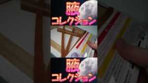 【腋コレクション】【白猫プロジェクト NEW WORLDS】ティナ キラキラ サマーくじ A賞 キャンバスパネル 釘宮理恵 コロプラ【脇 ワキ armpit】