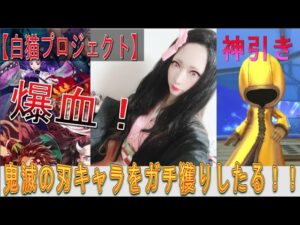 【白猫プロジェクト】コラボイベント『鬼滅の刃２』開催！貯めたジュエルだけでキャラgetの勝負！！神引きできるか！？！？