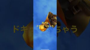 #白猫プロジェクト #無料ガチャ