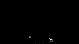 【白猫プロジェクト】今日の無料ガチャ