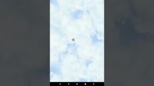 【白猫プロジェクト】リコリスリコイルコラボ単発無料ガチャ(5日目)#白猫プロジェクト#リコリスリコイル#shorts