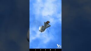 【白猫プロジェクト】リコリスリコイルコラボ単発無料ガチャ(8日目)#白猫プロジェクト#リコリスリコイル#無料ガチャ #shorts