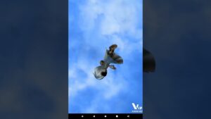 【白猫プロジェクト】LiNK Dragner単発無料ガチャ(3日目)#白猫プロジェクト #無料ガチャ #shorts