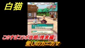 白猫　このすばコラボ攻略(捜索編)　愛しのカニカマ　ガチャキャラ　カズマ（剣）アクア（拳）めぐみん（魔）ウィズ（魔）ダクネス（大剣）　＃４０　【白猫プロジェクト】
