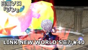 【白猫ソロ】 拳ジン ★40混沌のアリーナ