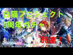【白猫プロジェクト】9周年ガチャ！88連引くよぉ~