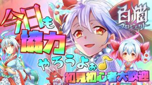 協力バトルやろうよぉ♪【白猫】ゲーム雑談配信！初見初心者さん誰でも気楽にご参加ください。LINK NEW WORLD’S