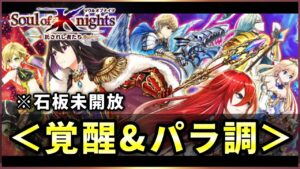 【白猫】２周年「Soul of Knights」全９キャラ　覚醒&パラ調・火力検証※石板解放なし【実況】