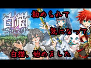 【白猫プロジェクト】勧められて初見プレイ　２章～【#Vtuber 】