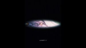 闇エクセリアの最期【白猫プロジェクト】#shorts