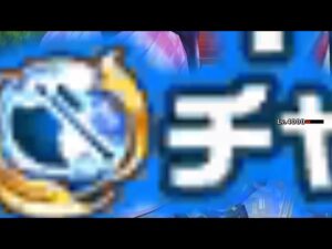 【白猫プロジェクト】鎖オスクロル　星40 サマーバッグフェスティバル　ソロ